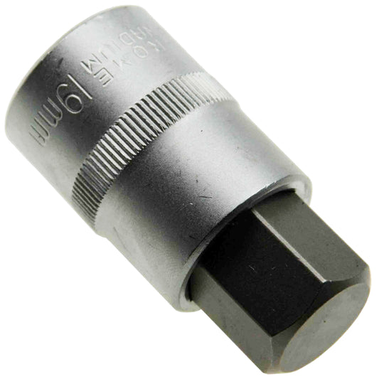 19 mm Stecknuss 6-kant Steckschlüssel-Einsatz Innensechskant 1/2" Cr-V (S2) L55